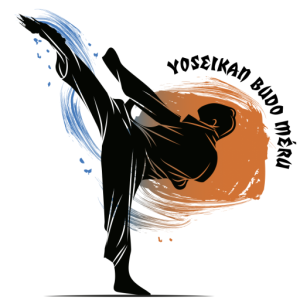 Logo du Yoseikan Budo Méru.